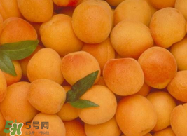 杏怎么催熟？杏怎么放熟的快？