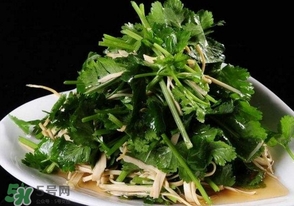 香菜是什么菜？香菜是陽痿草嗎？