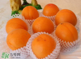 杏子可以放冰箱嗎？杏子可以冷藏嗎？