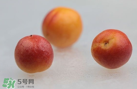 杏子怎么保存？長杏子怎么保存時間長？