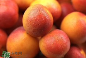 新鮮杏子可以放冰箱嗎？新鮮杏子怎么保存？