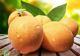 新鮮杏子怎么吃？新鮮杏子孕婦能吃嗎？