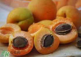新鮮杏子怎么吃？新鮮杏子孕婦能吃嗎？