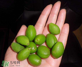 青杏怎么吃？青杏怎么做好吃？