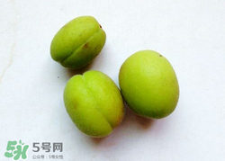 青杏怎么催熟？青杏怎么變黃？