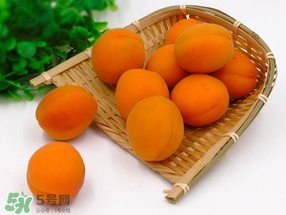 黃杏孕婦可以吃嗎？孕婦可以吃黃杏嗎？