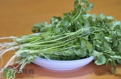 香菜是寒性食物嗎？香菜是熱性還是涼性？