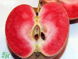 杏和蘋果可以一起吃嗎？杏子和蘋果可以一起吃嗎？