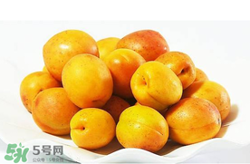 杏和荔枝能一起吃嗎？杏和荔枝一起吃會中毒嗎？