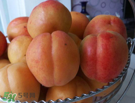 杏子可以空腹吃嗎？空腹能吃杏子嗎？