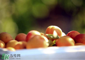 杏子好吃嗎？杏子可以多吃嗎？