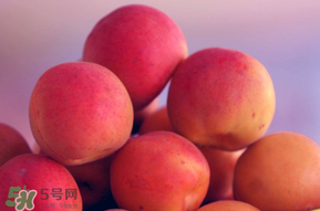 杏子好吃嗎？杏子可以多吃嗎？