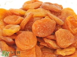 ? 杏干怎么曬？在家自己如何曬杏干？