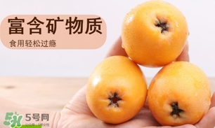 一歲寶寶可以吃枇杷嗎？一歲寶寶吃枇杷注意事項