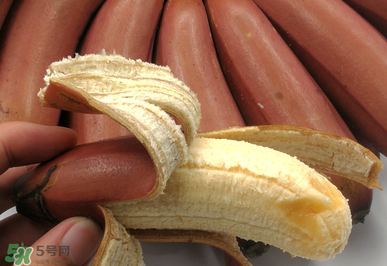 紅香蕉好吃嗎？紅香蕉味道怎么樣？