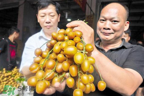 黃皮好吃嗎？黃皮是什么味道？