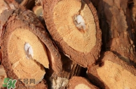 山葡萄根一斤多少錢？山葡萄根功效與作用