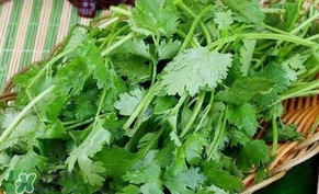 香菜洗腎有科學(xué)依據(jù)么？香菜能洗腎是真的嗎？