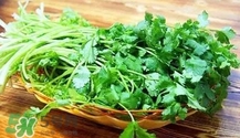 香菜是寒性食物嗎？香菜是熱性還是涼性？