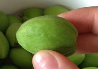 青杏怎么催熟？青杏怎么變黃？