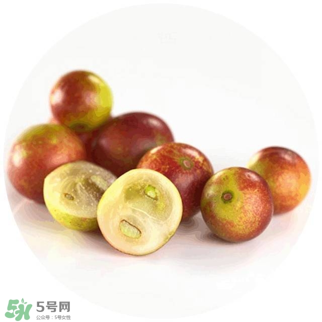 lululun plus面膜怎么樣？lululun plus面膜哪款好