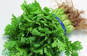 香菜是回奶的嗎？香菜是回奶還是下奶