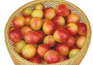 杏子好吃嗎？杏子可以多吃嗎？