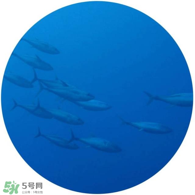 lululun plus面膜怎么樣？lululun plus面膜哪款好