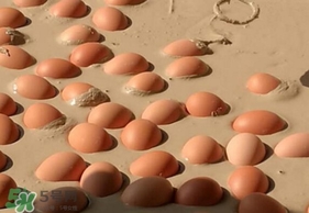 變蛋是什么蛋？變蛋是怎么做的？