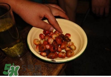 野地瓜滕熬水吃能治療什么病？野地瓜怎么吃