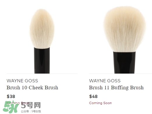 wayne goss是什么牌子？wayne goss化妝刷怎么樣？