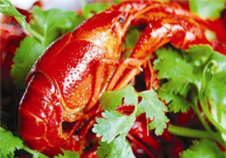 釣小龍蝦用什么餌？釣小龍蝦用什么誘餌最好？