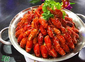 油燜大蝦吃哪些部位？怎么正確吃油燜大蝦？