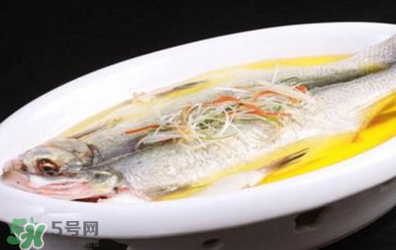 孕婦可以吃白條魚嗎？白條魚孕婦能吃嗎？