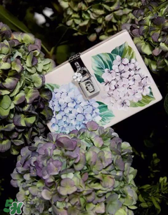 dolce gabanna杜嘉班納2017秋冬繡球花系列怎么樣_好看嗎？