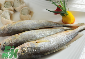 黃魚(yú)多少錢一斤？黃魚(yú)多少錢一斤2017？