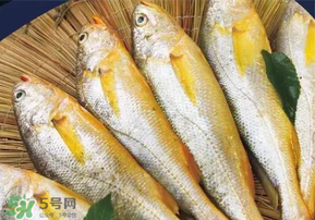 小黃魚長大后會(huì)不會(huì)變成大黃魚？