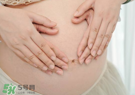 孕婦驅(qū)蚊植物推薦 孕婦能用植物驅(qū)蚊嗎？