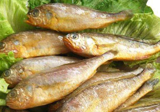 小黃魚多少錢一斤？野生小黃魚多少錢一斤？