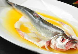 白條魚(yú)能長(zhǎng)多大？白條魚(yú)可以長(zhǎng)多大？