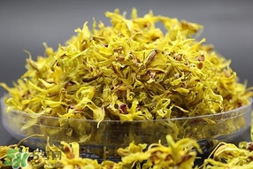 鐵皮石斛開花了怎么辦？鐵皮石斛的花怎么吃