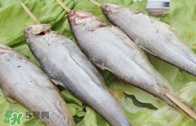 馬口魚怎么釣？馬口魚什么時候釣最好