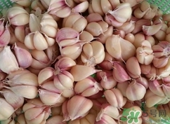 新蒜頭能曬干嗎？新鮮蒜頭曬干要多久