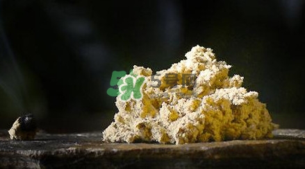 艾絨怎么保存不發(fā)霉？艾絨如何保存不受潮