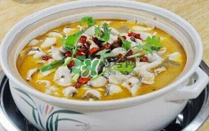 酸菜魚是哪個(gè)地方的菜？酸菜魚是什么魚？