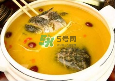 甲魚湯怎么做？甲魚湯的做法
