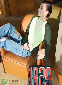 delvaux1829包多少錢？delvaux1829透明手袋專柜價格