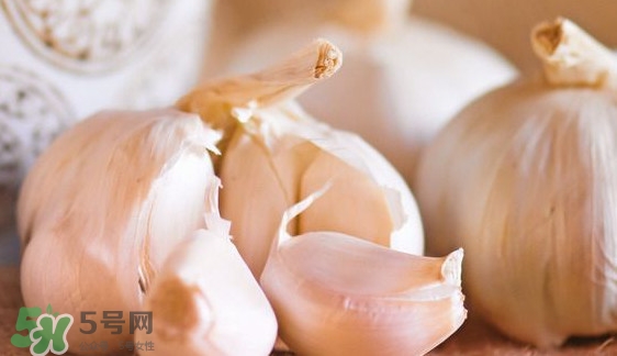 新蒜頭怎么弄成老蒜頭？新蒜頭和老蒜頭的區(qū)別