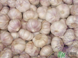 新蒜頭什么時(shí)候上市？新蒜頭幾月份上市