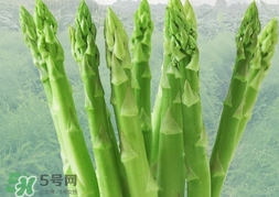 蘆筍過敏怎么辦？蘆筍過敏怎么處理？